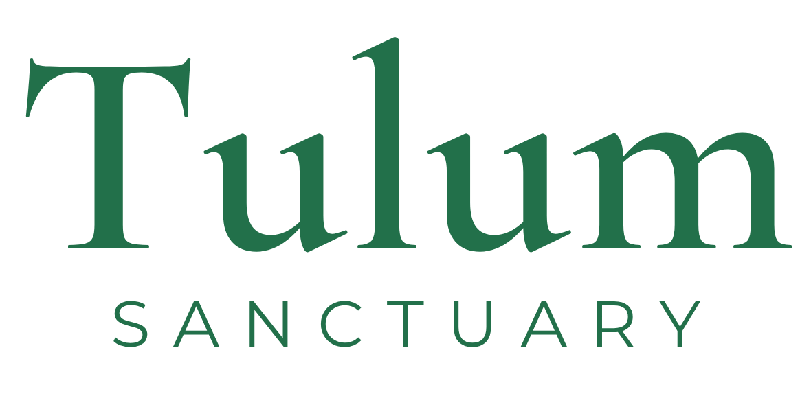 logo dark
