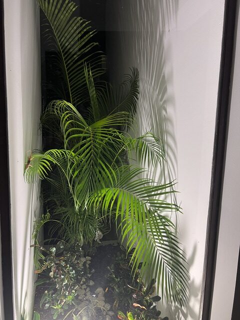 image5